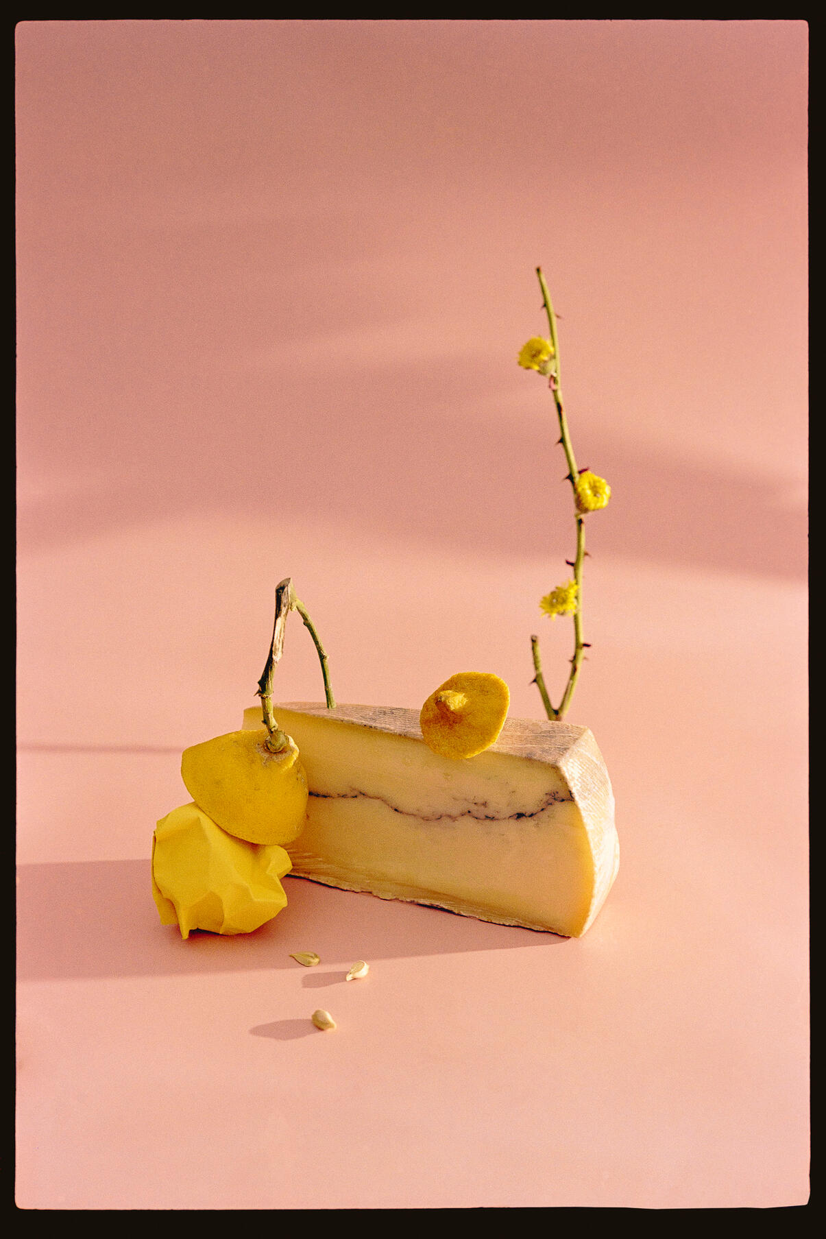 From the garden